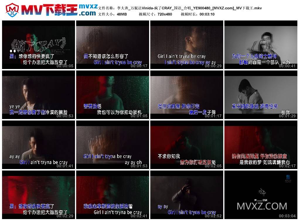 李大奔_万妮达Vinida-疯了CRAY_国语_合唱_YE900480